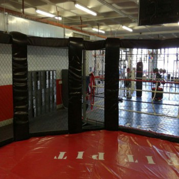 MMA Cage Padding