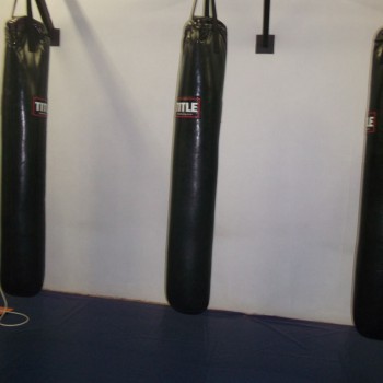 Punch Bags